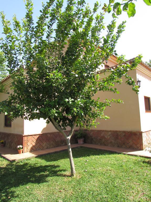 Casa Rural Oregano カルモナ エクステリア 写真