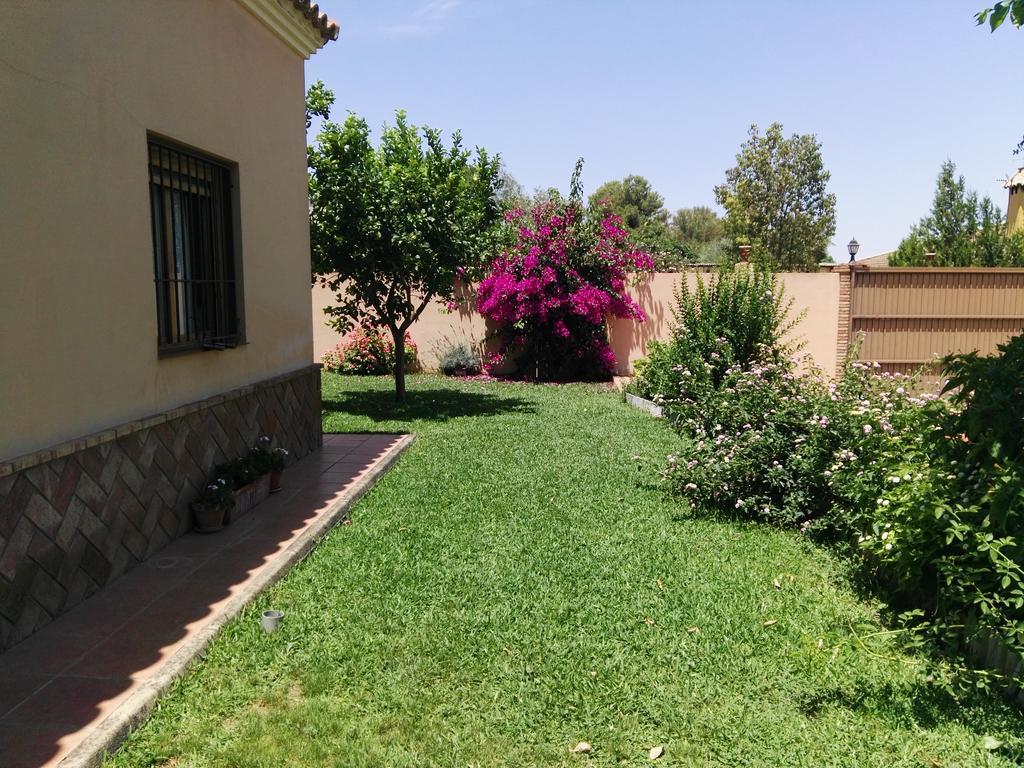 Casa Rural Oregano カルモナ エクステリア 写真